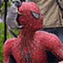 @squirrelattackspidy