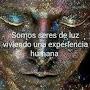 @josebonas6508