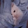 @я_бе