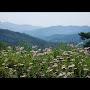 @경경-f5f