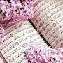 @Ilmira.ummuMuhammad
