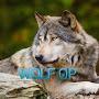 @wolfop2004