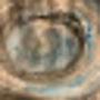 @user-ml8rc9od5z