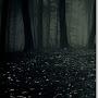 @user-ko5dc7lq8g