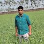 @sandeeppandey2046