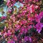 @josefinamartinez5813