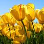 @ananddeshpande3760