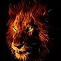 @battletested1476