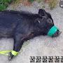 @양재정-w2i