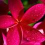 @mathematicsclassy.v.s1644