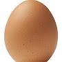@cool_Egg_