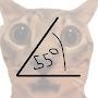 @55degreasy