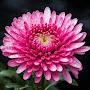 @technologymentor786