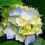 @xy5ab3fg2lm6