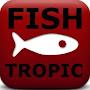 @fishtropiccanada4747