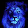 @bluelion3008