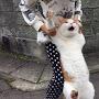 @크크펭귄크크펭귄