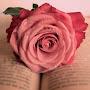 @اممحمد-ك9ظ7ث