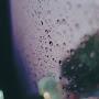 @탱구리-v3n