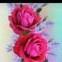 @soheilsoheili6563