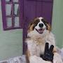 @SpikeDoG
