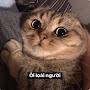 @thinhhatus8002