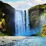 @cookiephaneuf1771