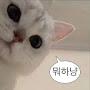 @김루미씌