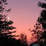 @sahiljagtap1958
