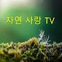 @chaejoongoh9047
