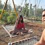 @dipikapatil1498