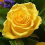 @sallywright2217
