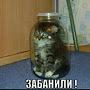 @ВээмчикЛ