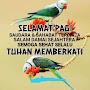 @herniahmalauherniah256