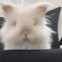 @kpars6332