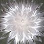 @quantumofspace1367