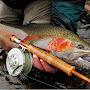 @GabrielIvanflyesfishing