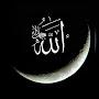 @Uthman.Z