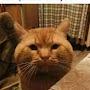 @laughingoutofdepression8093