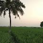 @kannangopal1507