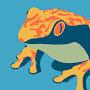@LuckyFrog-sp8gx