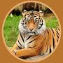 @arbaazhussain5983