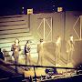 @lovess501by