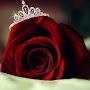 @هبهحسن-ذ6ش