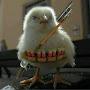 @choismovie-df4ll8ml1z