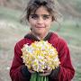 @amstedam2849-