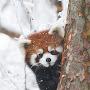 @user-is3pd7cg7x