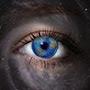 @observer1111