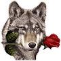 @alfirstar