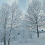 @GRIGORIY_CHUKOTKA